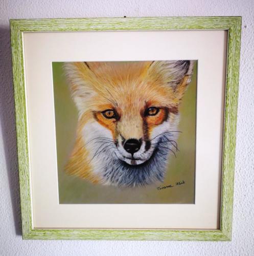 wildlife